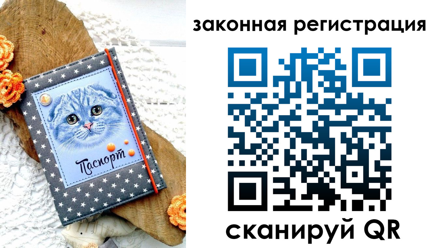 регистрация в Калининградской области